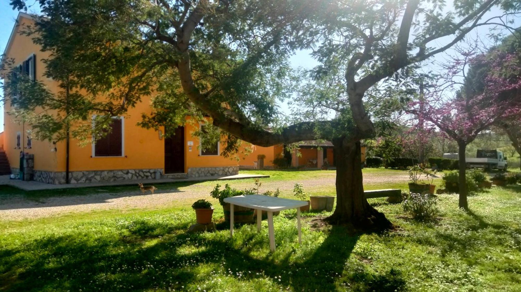 Agriturismo Da Remo Magliano in Toscana Room photo