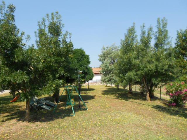 Agriturismo Da Remo Magliano in Toscana Exterior photo