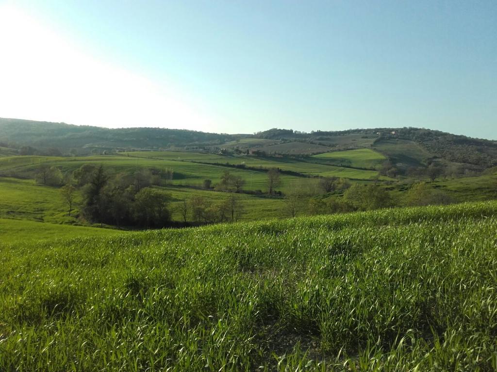 Agriturismo Da Remo Magliano in Toscana Exterior photo